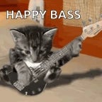 bass ja