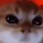 Dame Un GRR Classic - Sound