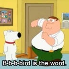 BIRD IS THE WORD!