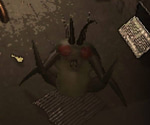 yippee bug angy/atck