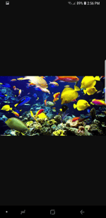 android notification earrape - Sound