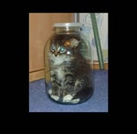 Blur for videos or something else