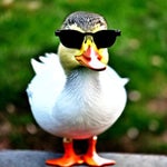 Treat me like white ter