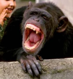 The benefits of laughter.