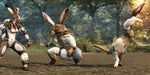 run rabbit
