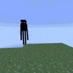 Enderman no no no no no no no