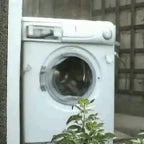 Washer Machine