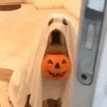 Are You Guys Going Trick or Treating?