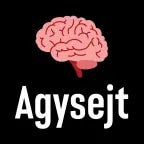 Agysejt