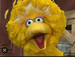 im da biggest bird