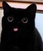 banana don't jiggle jiggle