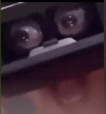 That one torch miencraft meme