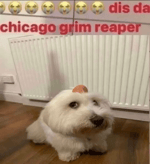 Femboy Falls Down the Stairs ASMR