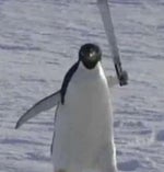 متلازمة الجيار - Sound