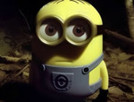 staring minion