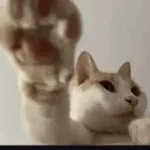 Eu Vou Chamar o Aldo@!