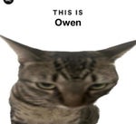 Nicopatty Outta luck instrumental