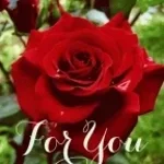 Sala - This woman is special