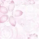 Midnight Sun-Zara Larsson ft. Muni Long (BASS BOOSTED) PT 3