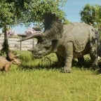 Vos Mères Les Tricératops