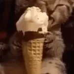 Suara Es Krim Wall's Keliling #eskrim #eskrimwalls #icecream