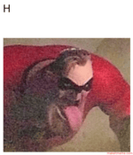 My Singing Monsters Furcorn