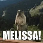 cem lass mellisa in ruhe