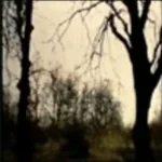 black beatles jumpstyle