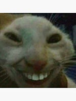 Abderrahimi Zegarrini