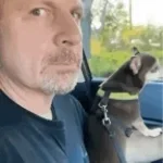 mentiraobebegeorgefunk