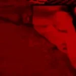 zmb_berl_bob_engine_lp