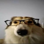 [hardbass] säkkijärven polkka (cosmowave remix)