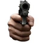 Gun Shot