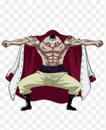 the one piece is real