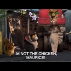 i am chicken thank you for asking