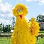 Bucket spam V1 Public