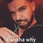 drake excuse me sir