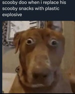 glouglouglou - Sound