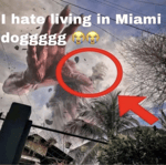 one last pic and i'll be gone make it count put the flash on