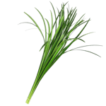 Joyeux Anniversaire Valentin!