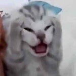 LOUD FART SOUND EFFECT