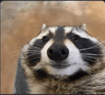 LETS GOOOOOOOOOOOOOOOOOOOOOOOO