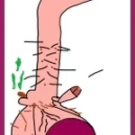 300 bpm hungarian eargrape (copy)