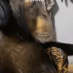 Recording 10/02/25 00:04:27