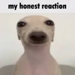 you smell like you farted (farted)
