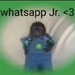 WhatsApp Ptt 2026-01-31 at 6.23.53 PM