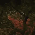 we fell in love in october