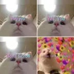 Bethany I Made Biscuits (copy)