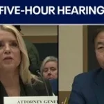 I believe you just lied under oath