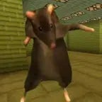 rat dance